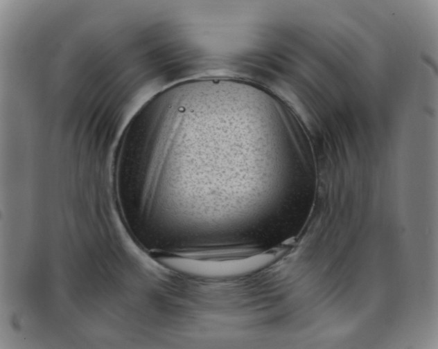 X0000097501483200803071751