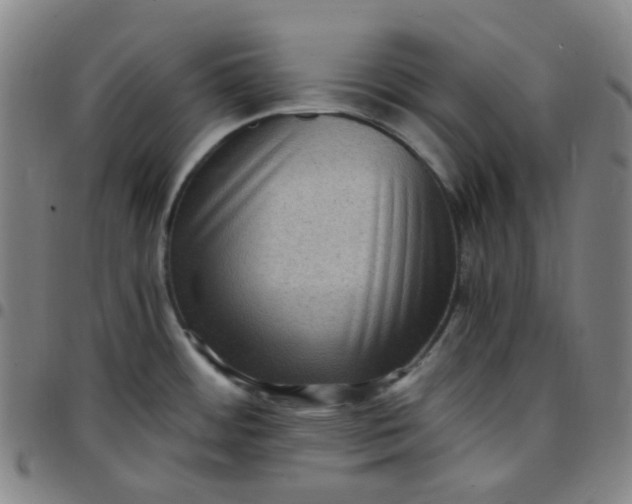 X0000097501484200803071751