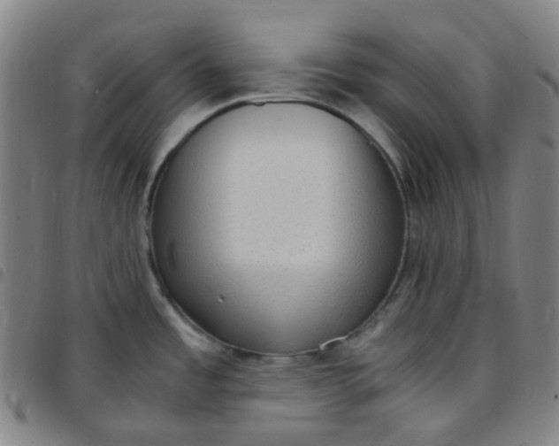 X0000097501485200803071750