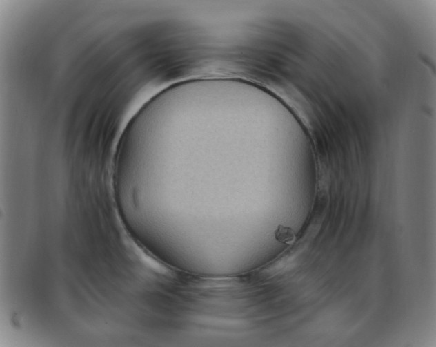 X0000097501486200803071750