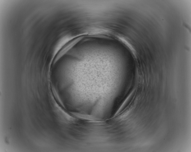 X0000097501487200803071750