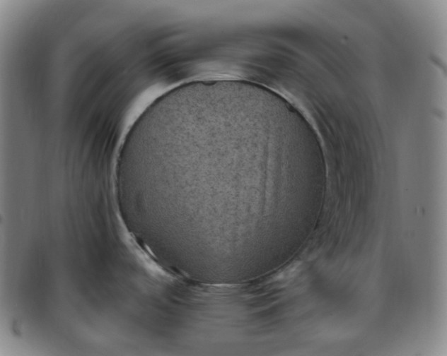 X0000097501488200803071750
