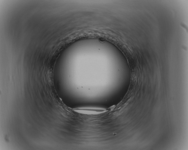 X0000097501490200803071750