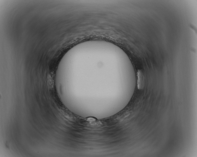 X0000097501491200803071750
