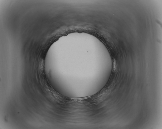 X0000097501492200803071750