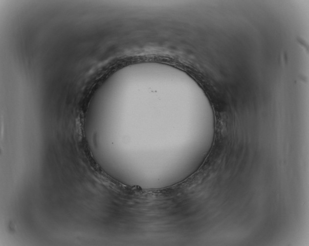 X0000097501493200803071750