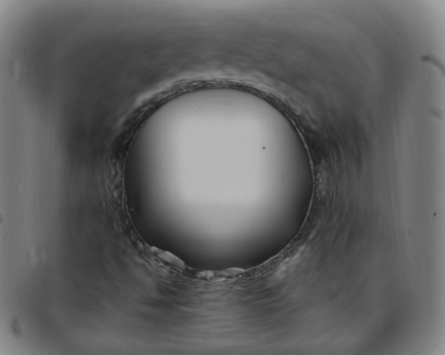 X0000097501494200803071750