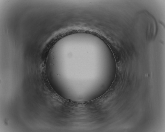 X0000097501495200803071750