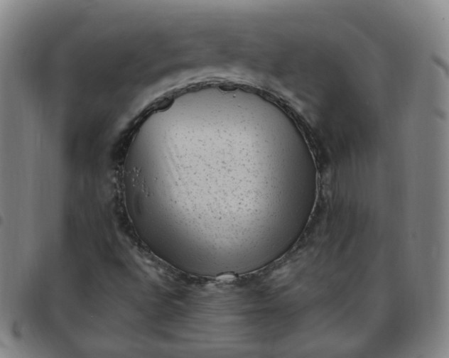 X0000097501496200803071750