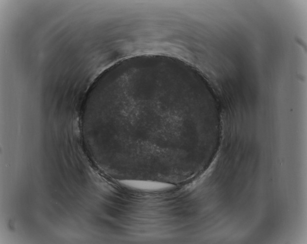 X0000097501497200803071750