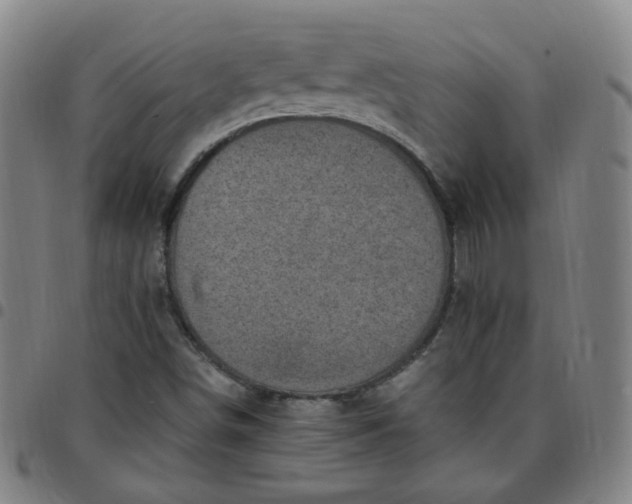 X0000097501498200803071750
