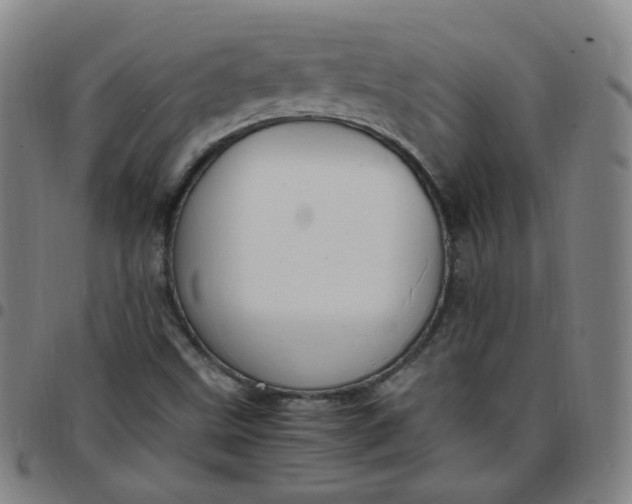 X0000097501499200803071750