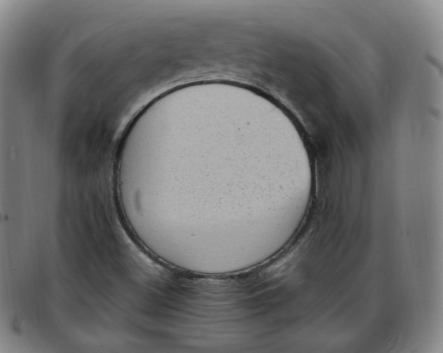 X0000097501500200803071750
