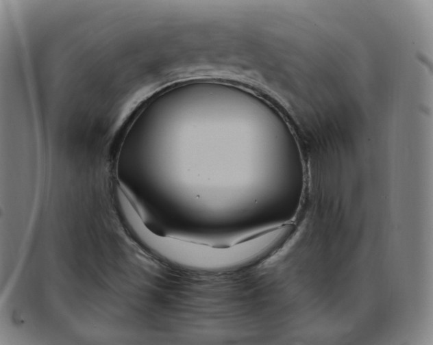 X0000097501501200803071750