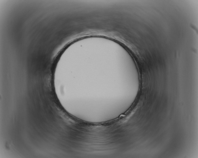 X0000097501502200803071750