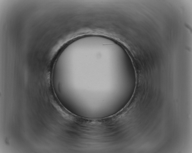 X0000097501503200803071750