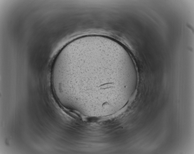 X0000097501504200803071750