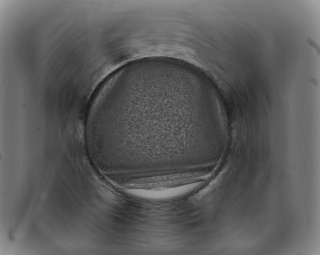 X0000097501505200803071750