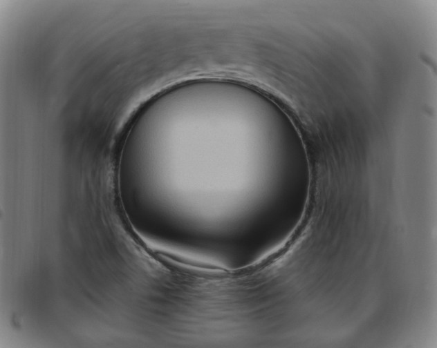 X0000097501506200803071750