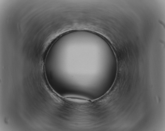 X0000097501507200803071750