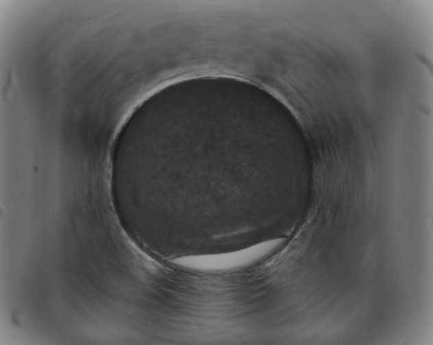 X0000097501508200803071750