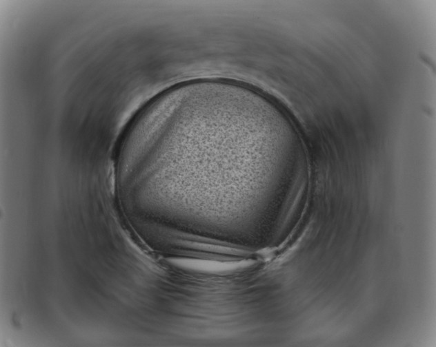 X0000097501509200803071750