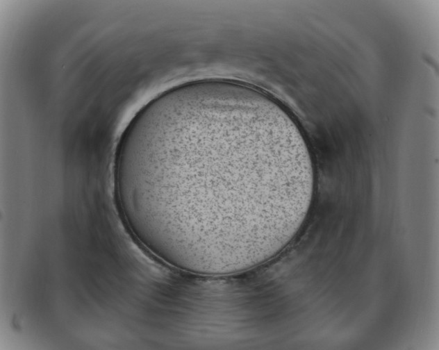 X0000097501512200803071750