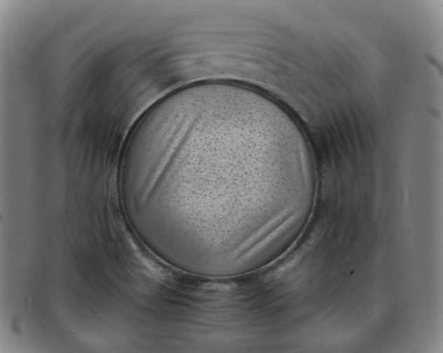 X0000097501513200803071750