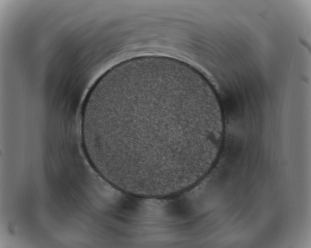 X0000097501514200803071750