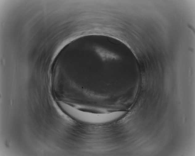 X0000097501515200803071750