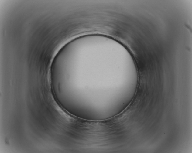 X0000097501516200803071750