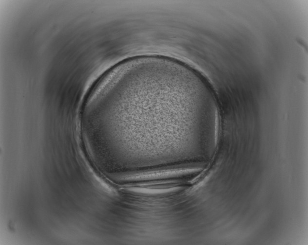 X0000097501517200803071750