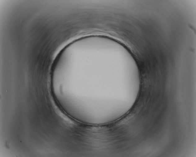X0000097501518200803071750