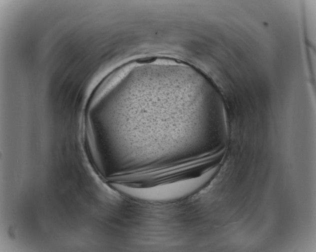 X0000097501520200803071750