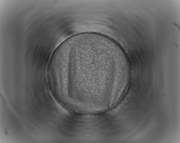 X0000097501521200803071750