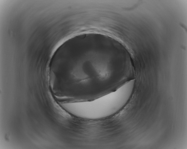 X0000097501522200803071750