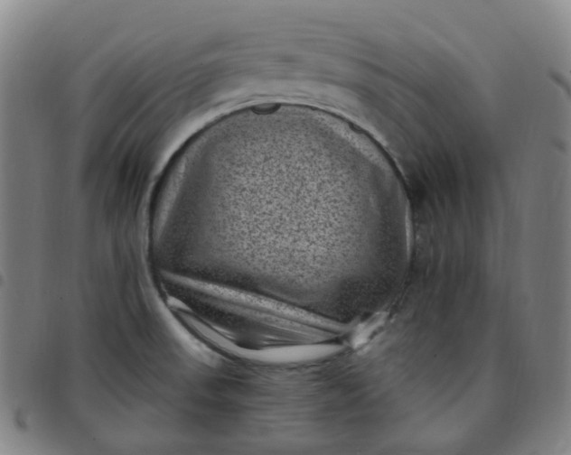 X0000097501523200803071750