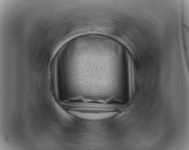 X0000097501524200803071750
