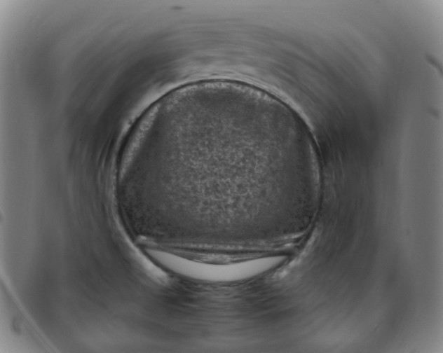 X0000097501525200803071750