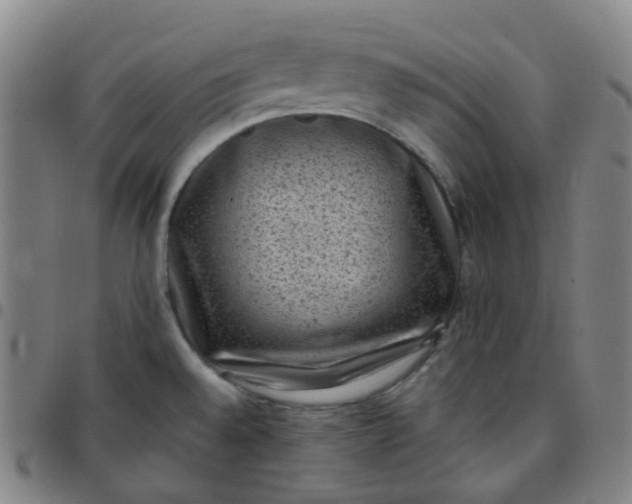 X0000097501528200803071750