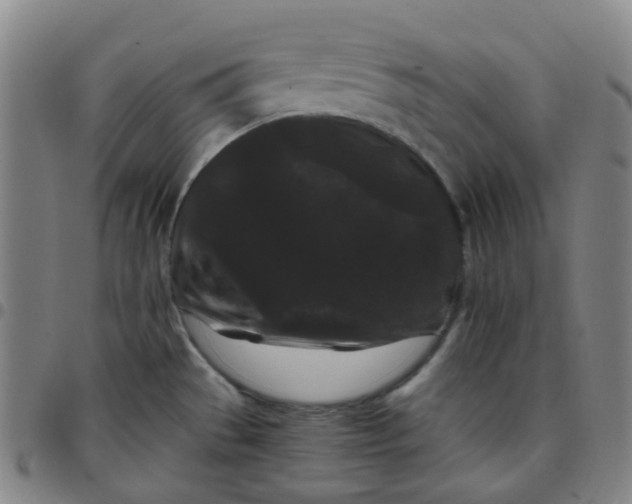 X0000097501529200803071750