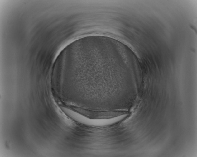 X0000097501530200803071750