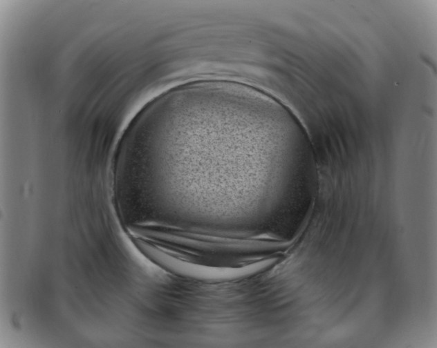 X0000097501531200803071750