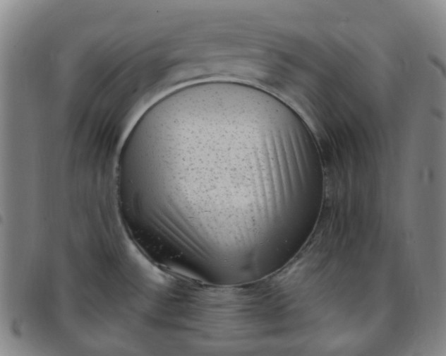 X0000097501532200803071750