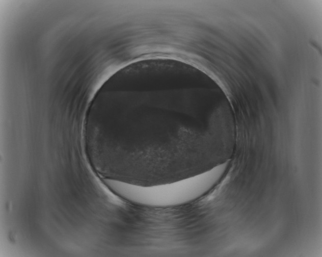 X0000097501533200803071750