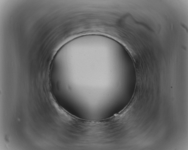 X0000097501534200803071750