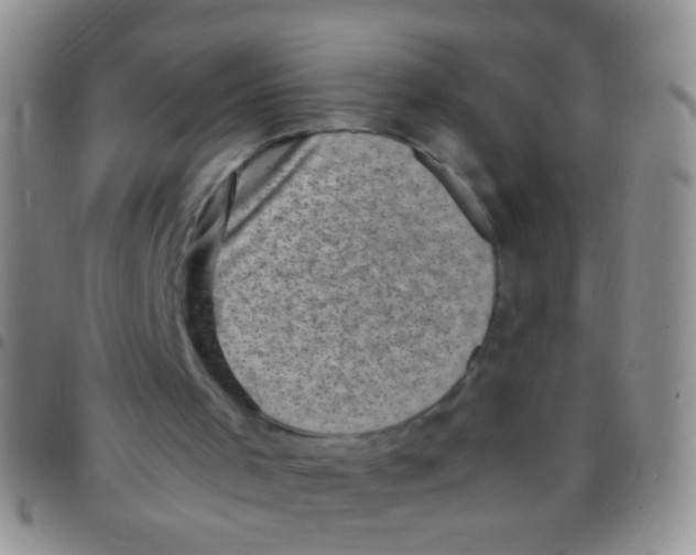 X0000097500001200803142029