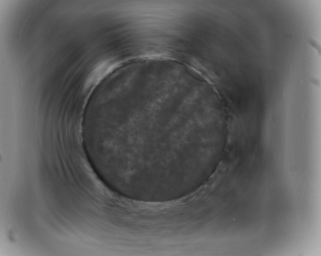 X0000097500002200803142029