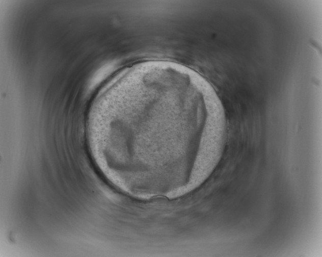 X0000097500005200803142029