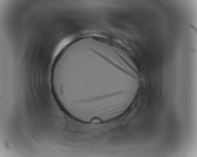 X0000097500006200803142029